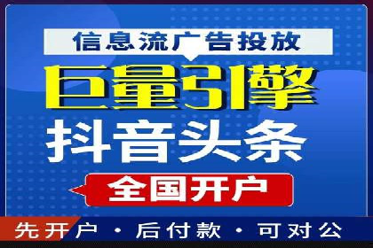 百度竞价与搜索引擎优化（SEO）结合的经典案例